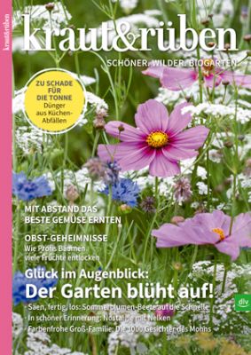 Kraut & Rüben Magazin Abo 